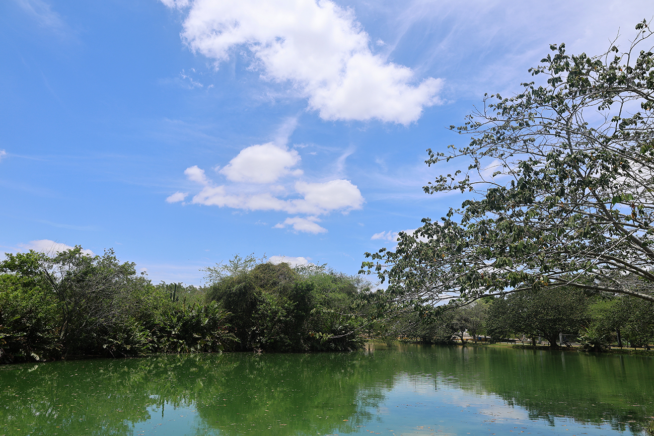 Foto: Reprodução/Prefeitura de Feira de Santana - BA